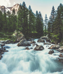 A serene river flows through a lush forest, surrounded by rocky banks and majestic mountains in the background.