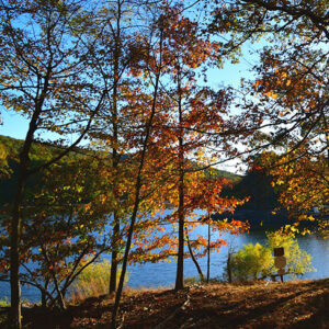 A tranquil scene featuring vibrant autumn foliage beside a calm lake, with sunlight filtering through the trees and reflecting on the water.